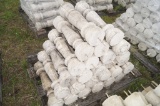 Pallet of Concrete Decorative Pre Cast Posts