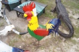 Midsize Multi-Colored Chicken Decorative