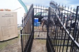 Double Swing Gate Horse