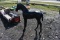 Pone Statue