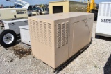 Generac 35kW 1 Phase Industrial Generator