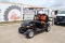 2015 EZ-Go TXT Valor Gasoline 4 Passenger Golf Cart