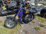 Carter Bros Mini Bike