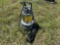 Unused Mustang MP 4800 2in submersible pump