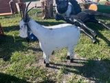 Metal Goat Decor