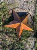 Star Medium Metal Decorative