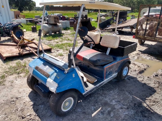 36V 2 Passenger Club Car