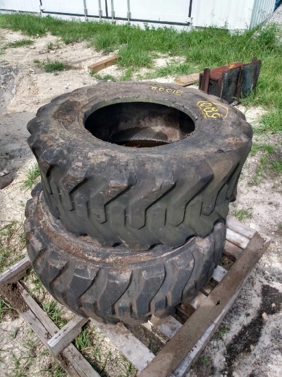 Two Skid Steer Tires