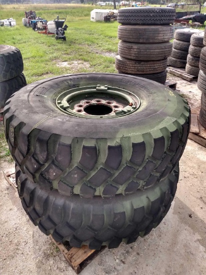 Two Off-Road Tires