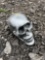 Aluminum Skull Decor