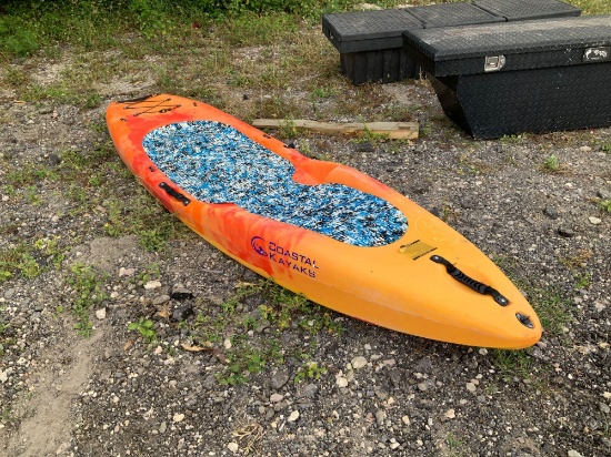 Paddle Board