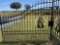 2023 16ft Metal Gate With Horse Design