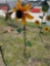 Sunflower Yard Art