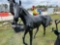 Horse Lawn Art