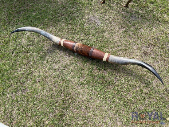 Longhorn Horns