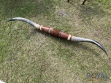Longhorn Horns