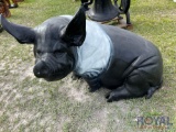 Pig Lawn Art