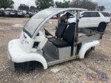 Gatormoto LSV2P Electric Cart