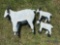 Goat and 2 Kids Lawn Art