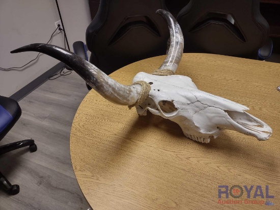 Bull Skull Euro Mount