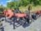 Unused 2021 UM Ripper Bedder 432 Toolbar Subsoiler Tractor Attachment