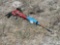 Pneumatic Demolition Jackhammer