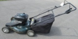 Turf Master 2 in 1 gas push mower with 22