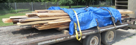 (30+) Pieces Of Live Edge And Rough Cut Planks. Longest Measures Approx. 17