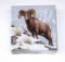 CANADA - 2014 SILVER $100 - ROCKY MOUNTAIN BIGHORN SHEEP