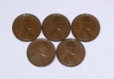 FIVE (5) 1909 VDB WHEAT CENTS