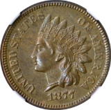 1877 INDIAN CENT - NGC AU DETAILS CLEANED