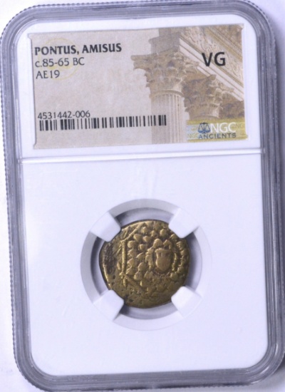 ANCIENT - PONTUS AMISUS - 85-65 BC - NGC VG