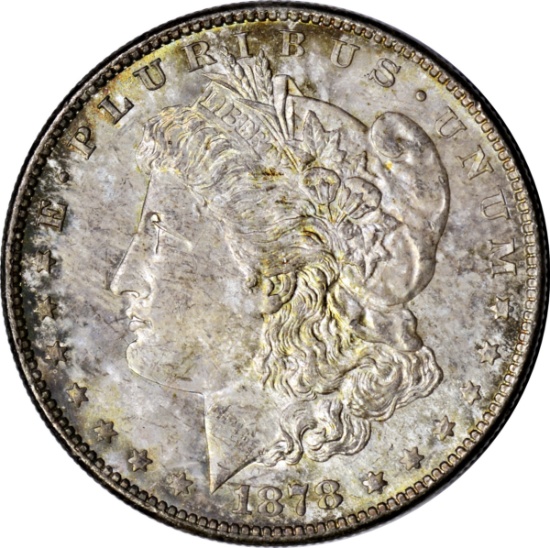 1878-S MORGAN DOLLAR - TONED
