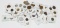 LARGE ASSORTMENT of 95 WORLD COINS