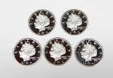 FIVE (5) 2005 1 OZ .999 FINE SILVER NORFED PROOF $20 ROUNDS