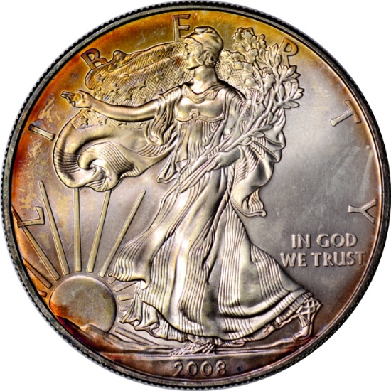 2008 SILVER EAGLE - ATTRACTIVELY TONED