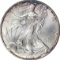 1996 SILVER EAGLE - UNCIRCULATED