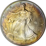 2003 SILVER EAGLE - UNCIRCULATED - TONED