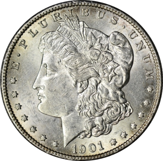 1901-O MORGAN DOLLAR - UNCIRCULATED DETAILS
