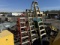 Lot of 3 Werner Ladders