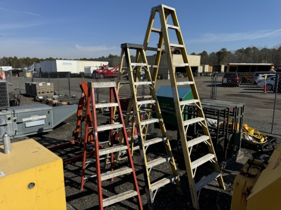 Lot of 3 Werner Ladders