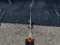 Husqvarna 525LS Edger