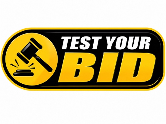 TEST YOUR BID BUTTON