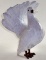 A French Pottery Peacock Dove