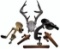 Enterprise Cherry Pitter, Food Mill, Spigots & Deer Rack