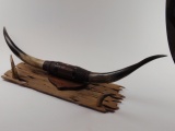 A Western Style Steer horn Wall Display