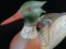 Hand Carved & Painted Duck Decoy - Red Breasted Merganser - Carver: M. L. Zalper 1981.