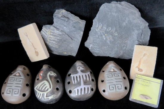 Bin full of fossils, Native American Indian items (Bird Whistles), Civil War items & more.