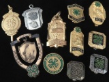 Lot of (11) Irish themed vintage Pins & Pendants.