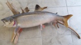 Trophy Mount Salmon! Pickup Only! No Shipping!